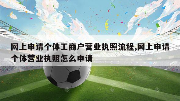 网上申请个体工商户营业执照流程,网上申请个体营业执照怎么申请