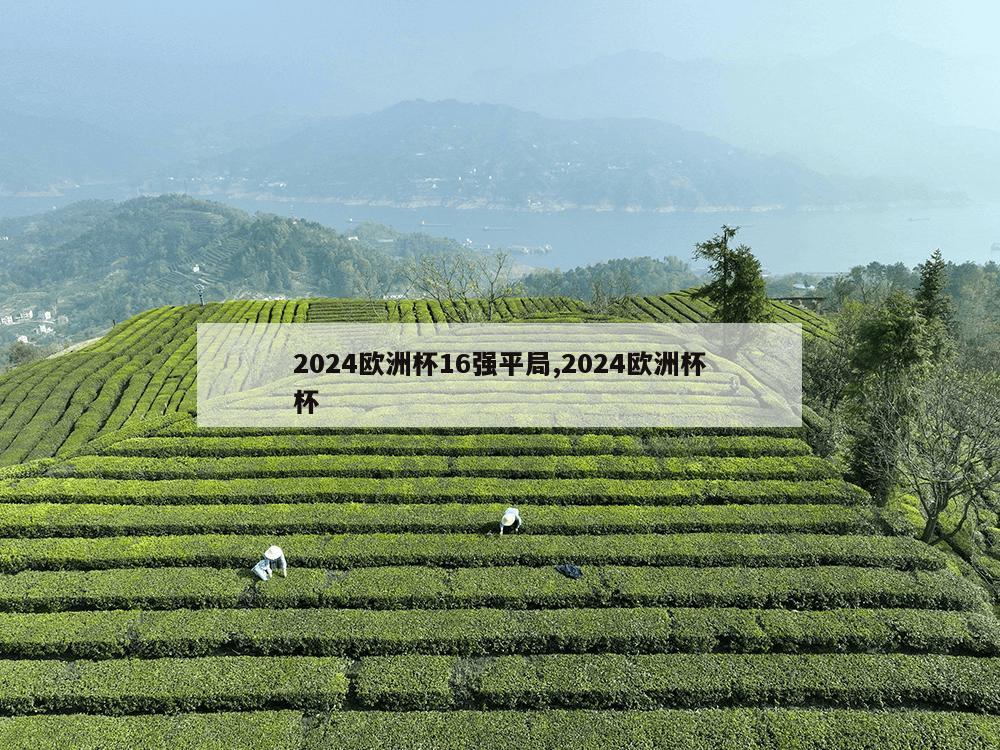 2024欧洲杯16强平局,2024欧洲杯杯