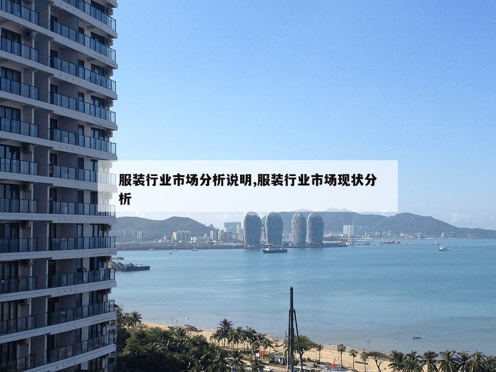 服装行业市场分析说明,服装行业市场现状分析