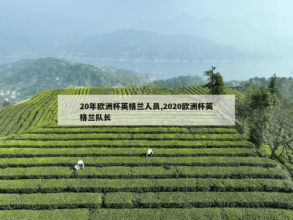 20年欧洲杯英格兰人员,2020欧洲杯英格兰队长