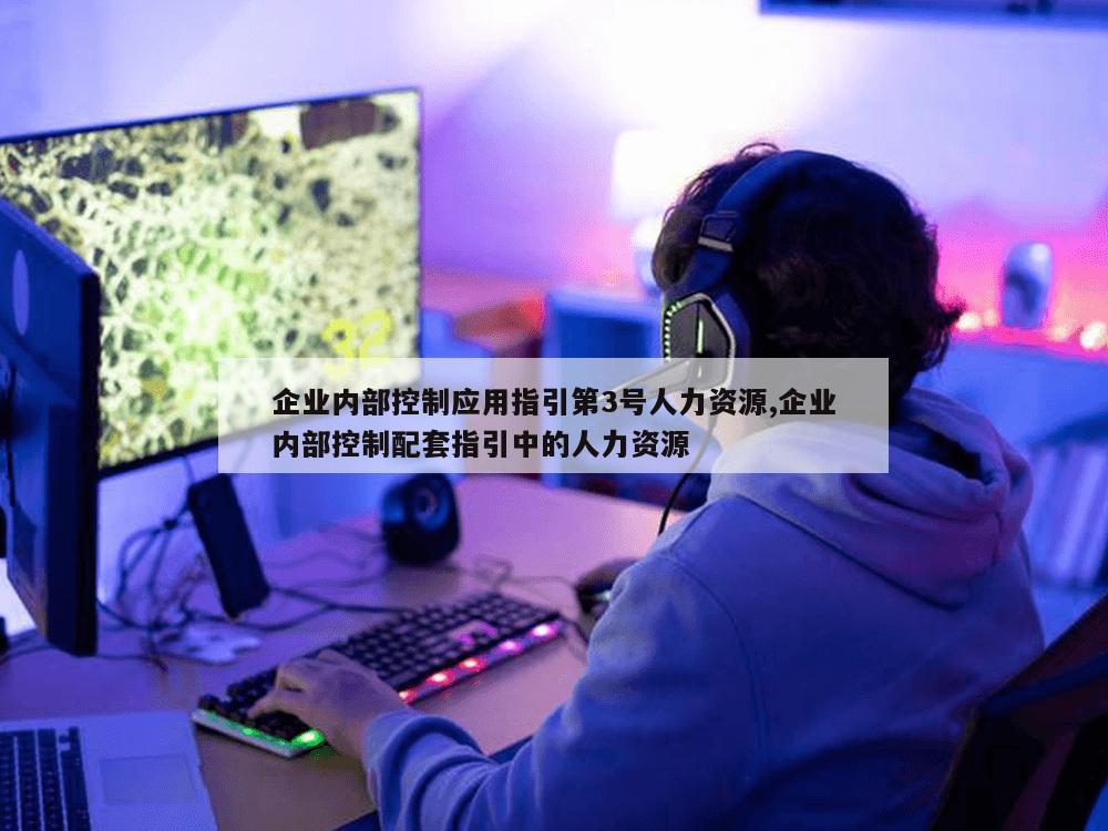 企业内部控制应用指引第3号人力资源,企业内部控制配套指引中的人力资源