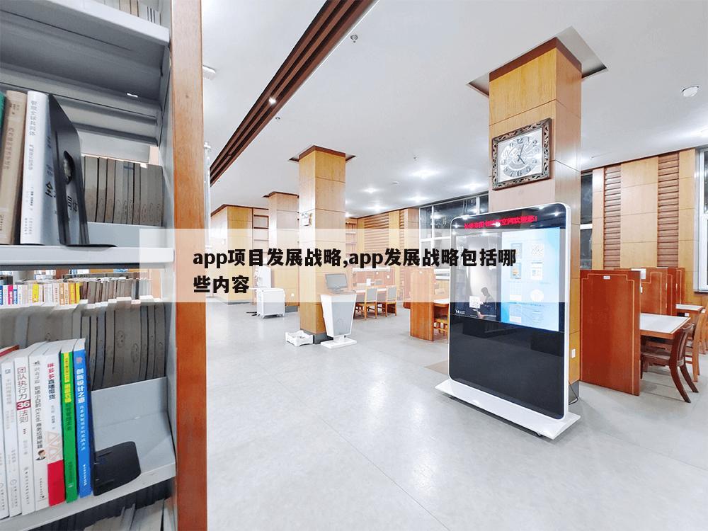 app项目发展战略,app发展战略包括哪些内容