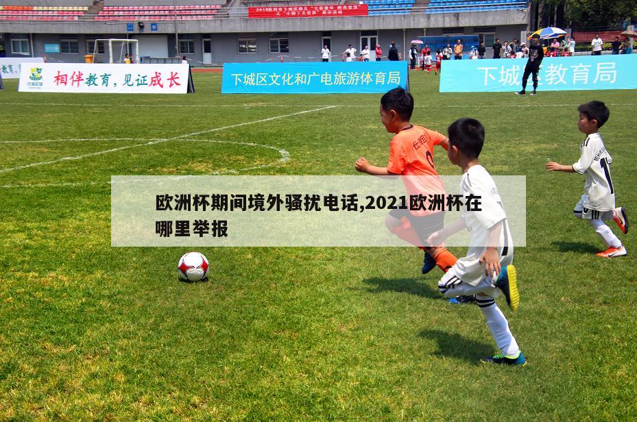 欧洲杯期间境外骚扰电话,2021欧洲杯在哪里举报