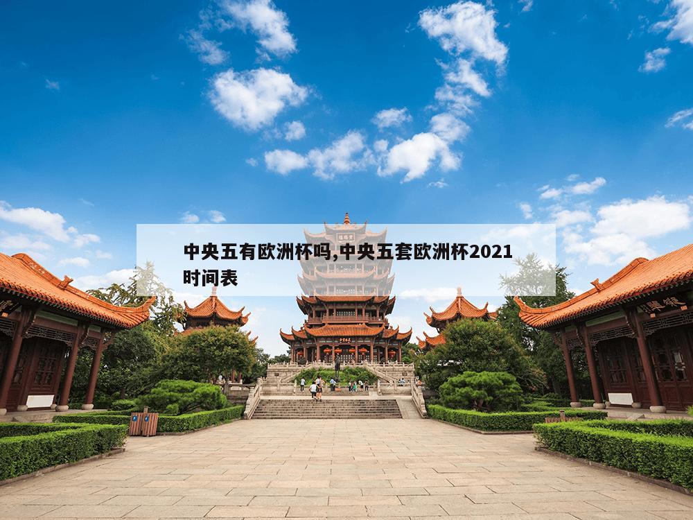 中央五有欧洲杯吗,中央五套欧洲杯2021时间表